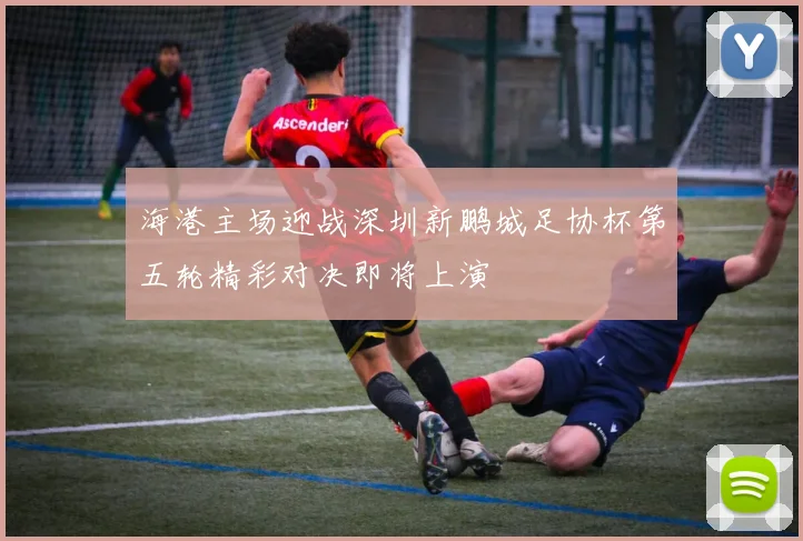 海港主场迎战深圳新鹏城足协杯第五轮精彩对决即将上演